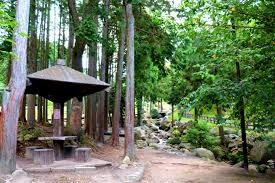 一本松公園(昭和の森)
