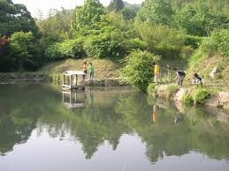 肥前大和巨石パーク