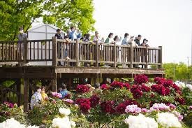 五泉市東公園