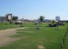 淀川河川公園 海老江地区・大淀野草地区【長期閉園】