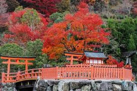 明治の森 箕面国定公園