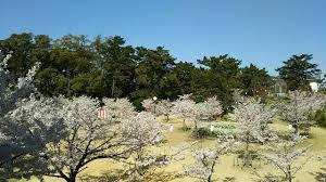 雁宿公園