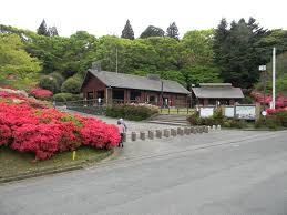 久留米森林つつじ公園
