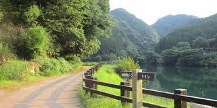薬王寺水辺公園