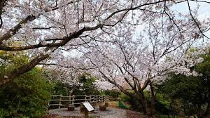 生石公園