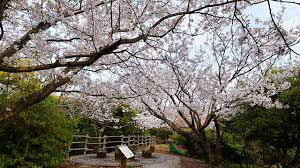 生石公園