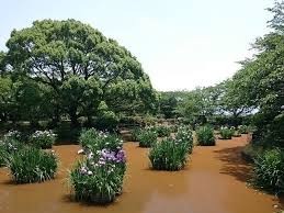 城山公園