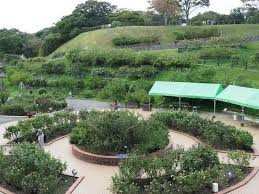 金田ふれあいスポーツ公園