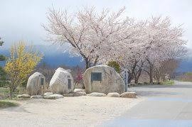 穂高川右岸河川敷