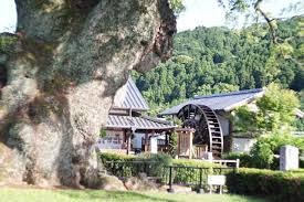 川古の大楠公園