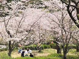 蛇ヶ谷公園