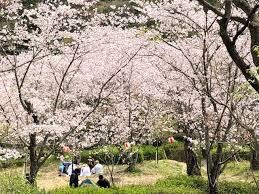 蛇ヶ谷公園