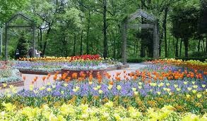 国営武蔵丘陵森林公園