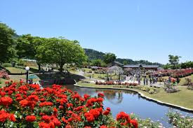 東沢公園(東沢バラ公園)
