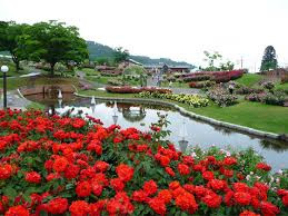 東沢公園(東沢バラ公園)