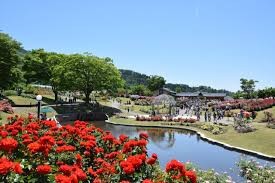 東沢公園(東沢バラ公園)
