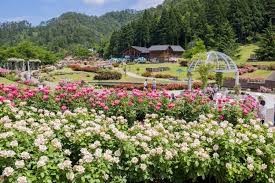 東沢公園(東沢バラ公園)