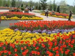 とちぎわんぱく公園