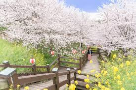 開山公園