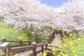 開山公園