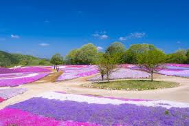 Flower village(フラワーヴィレッジ) 花夢の里