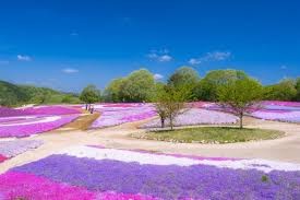 Flower village(フラワーヴィレッジ) 花夢の里