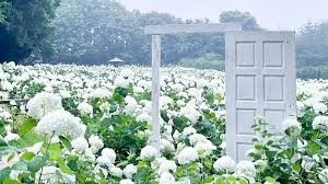 Flower village(フラワーヴィレッジ) 花夢の里