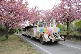 天平の丘公園