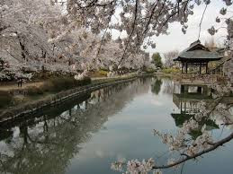 上沼公園・下沼公園