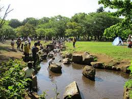 所沢航空記念公園