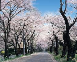 太平山県立自然公園