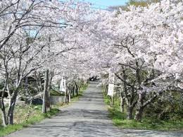 県立自然公園旭山