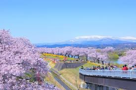 船岡城址公園