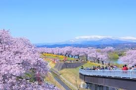 船岡城址公園