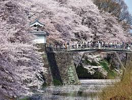 霞城公園