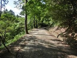 公渕森林公園