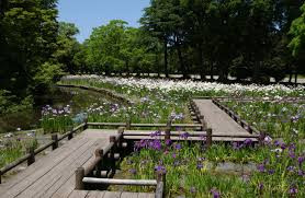 鶴岡公園