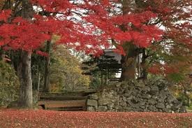 亀ヶ城公園(猪苗代)