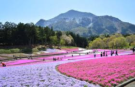 羊山公園