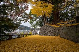 諏訪公園
