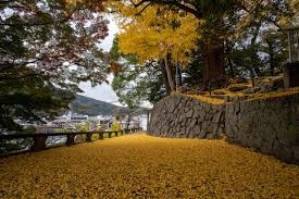 諏訪公園
