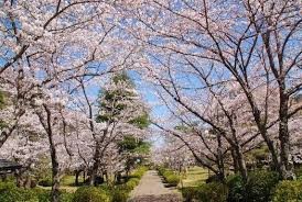 諏訪公園