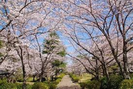 諏訪公園