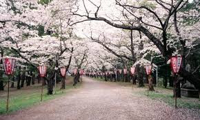 芦野公園