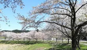 鷹巣中央公園