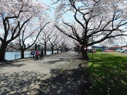鷹巣中央公園