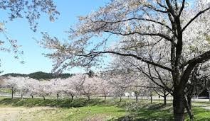 鷹巣中央公園