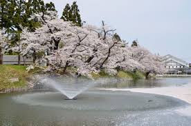 馬陵公園