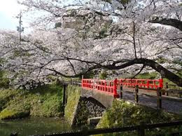 鹿野城跡公園