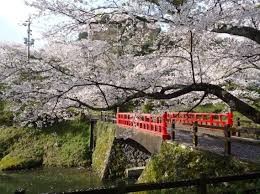 鹿野城跡公園